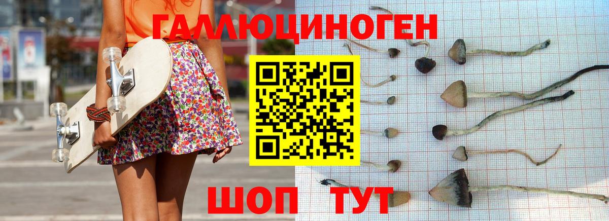 Северск  продажа наркотиков  Галлюциногенные грибы Psilocybine cubensis  Вход с VPN  Галлюциногенные грибы Magic Shrooms 